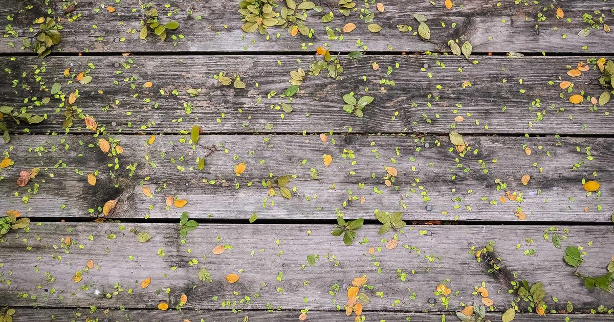 App Store Rejection: Why Simple Apps Get Denied