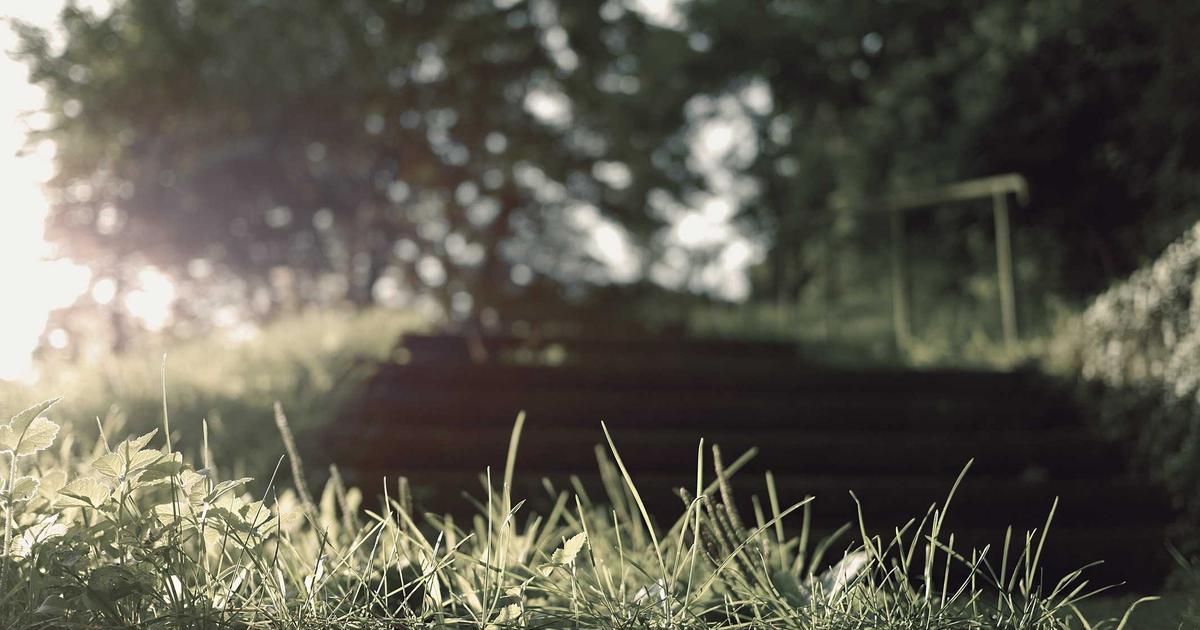The Strange Story of How Backyard Chemistry Faded Away