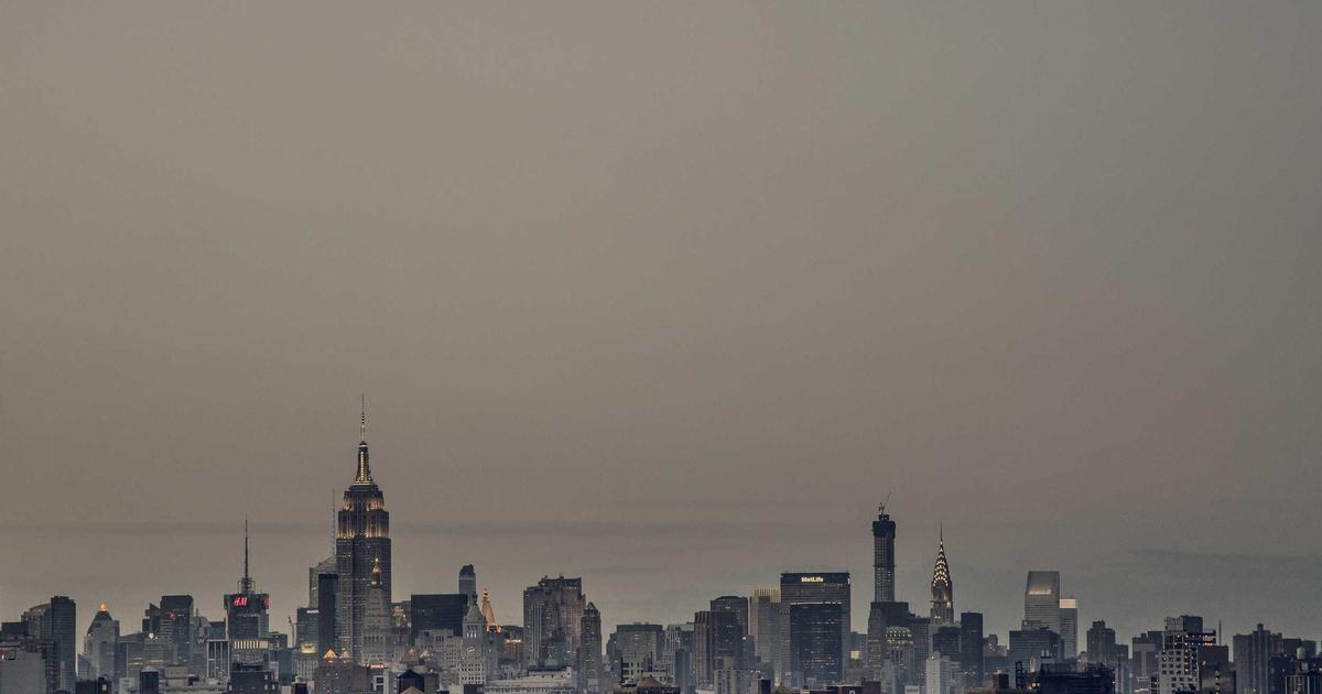 The 'Lifer' Debate: Why People Stay at One Job Forever
