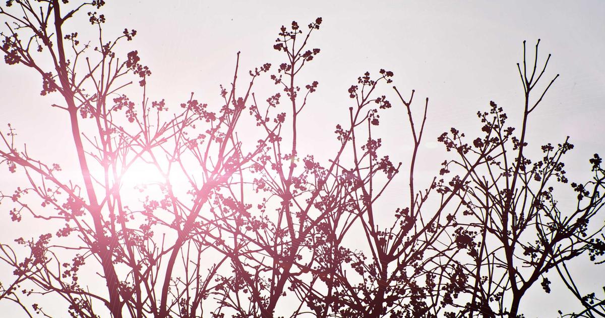 Finding Your Life's Purpose: A Search for Meaning