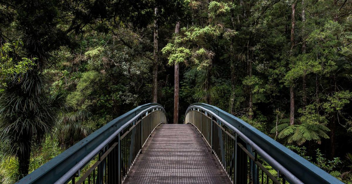 The Hidden Truth: How Author Names Sway Science Reviews
