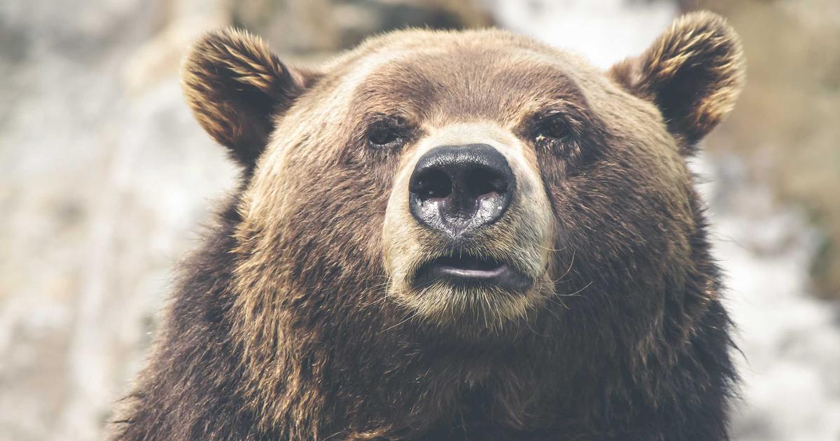 The Day Bitcoin Plunged: Inside the FTX Collapse