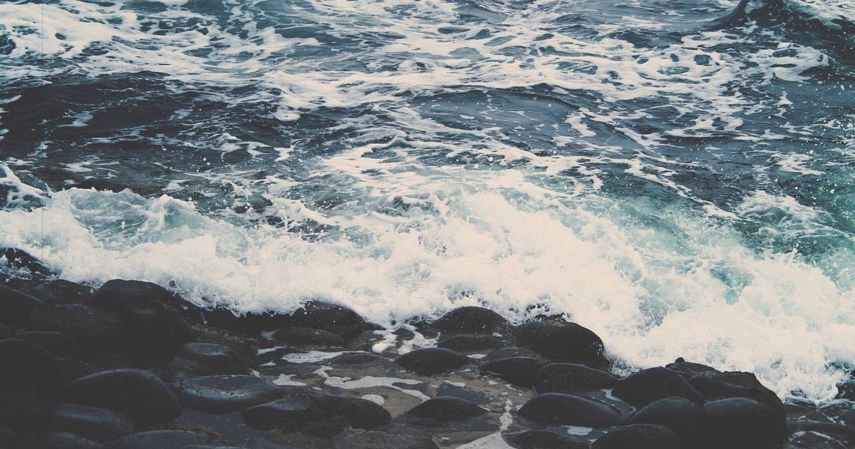 The Strange Story of a Self-Built BitTorrent Client