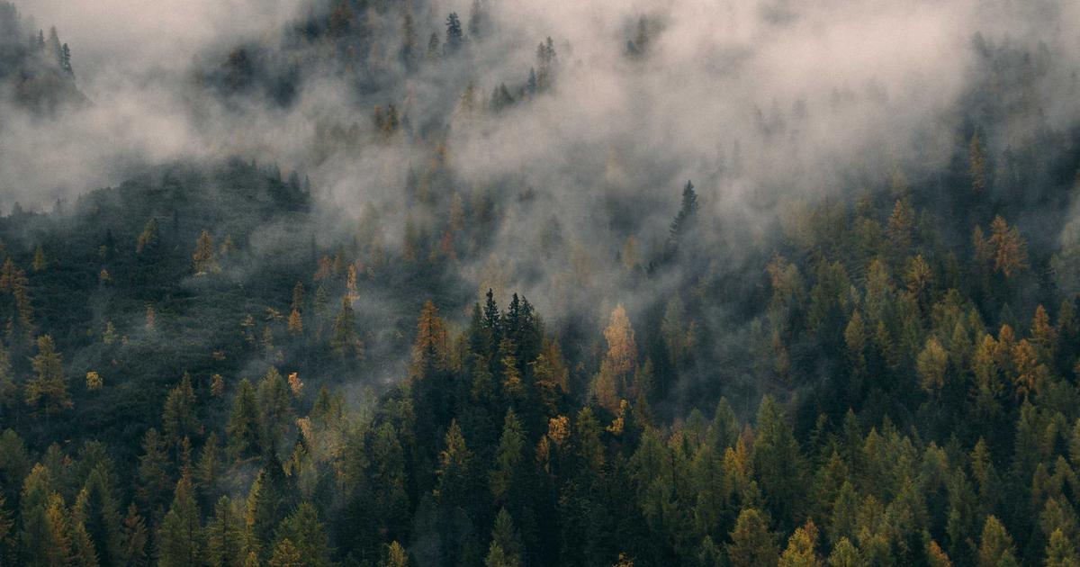 The AI That Became a Coder's Redux Reducer