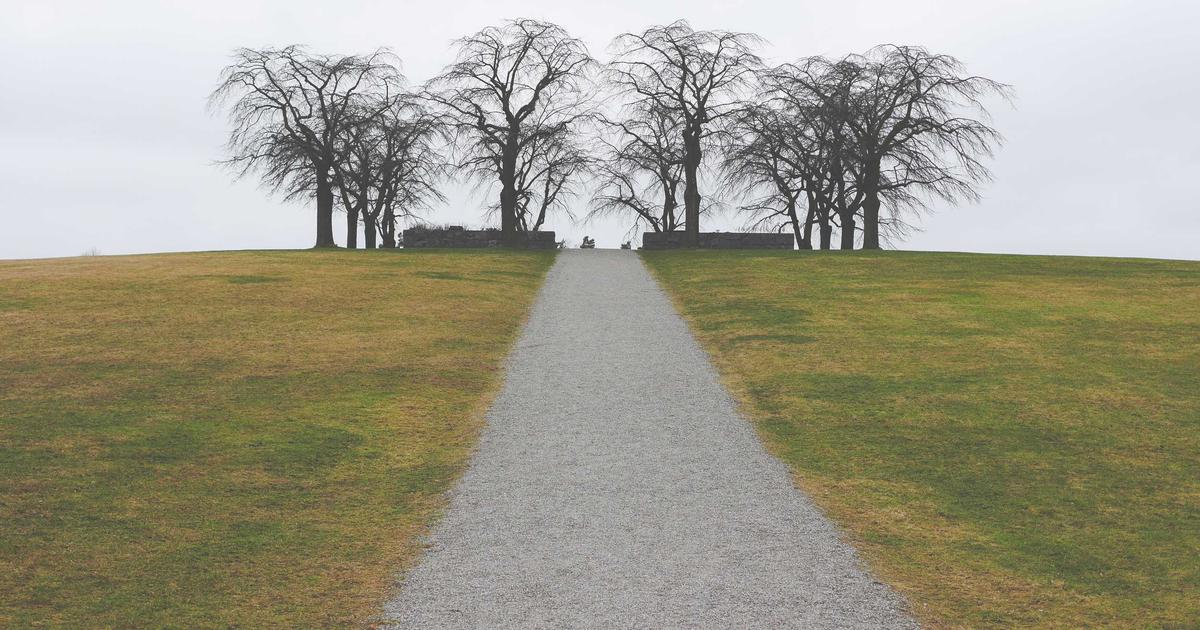 The Strange Story of the "World's Loneliest Dog"