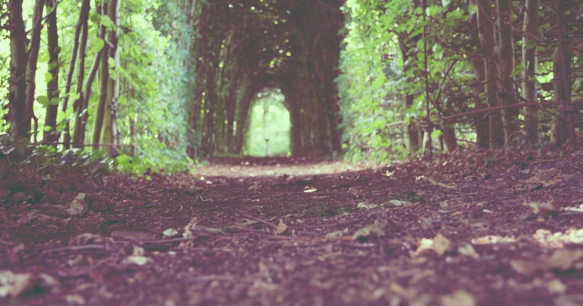 The Strange Case of the Man Who Vanished After a Viral Photo