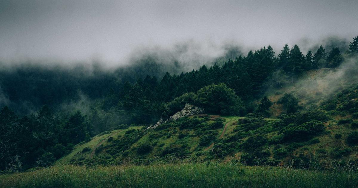 Instagram's Hidden Website Tracker: What You Need to Know