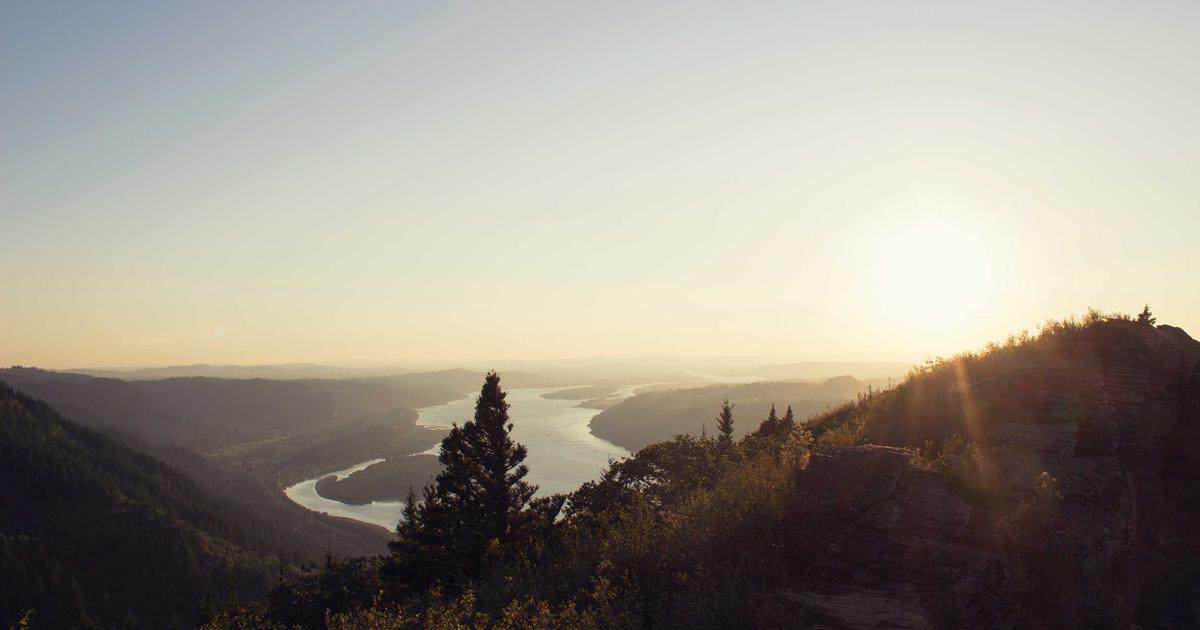 One Year of Reading: What One Man Learned Online