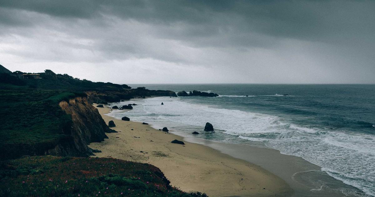 How One Founder Built a Business From Failed Startups