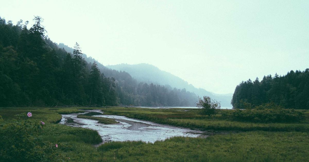 The Strange Story of Potluck Documents