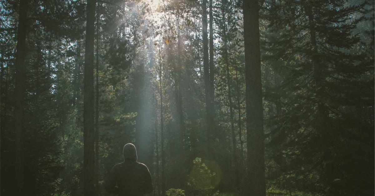 The Strange Story of Feep! A Search Engine Built in a Living Room