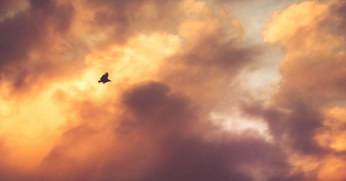 Brandon Sanderson's 2022: What He Said and What's Next