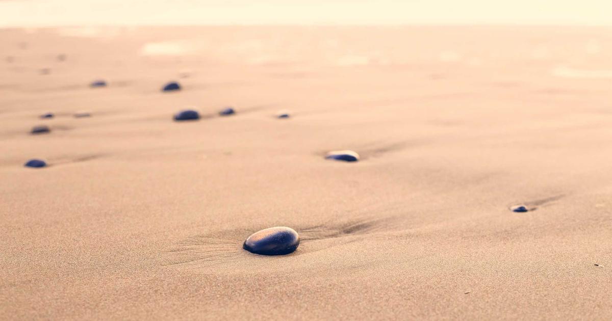 Windows Subsystem for Android Gets Major Android 13 Update