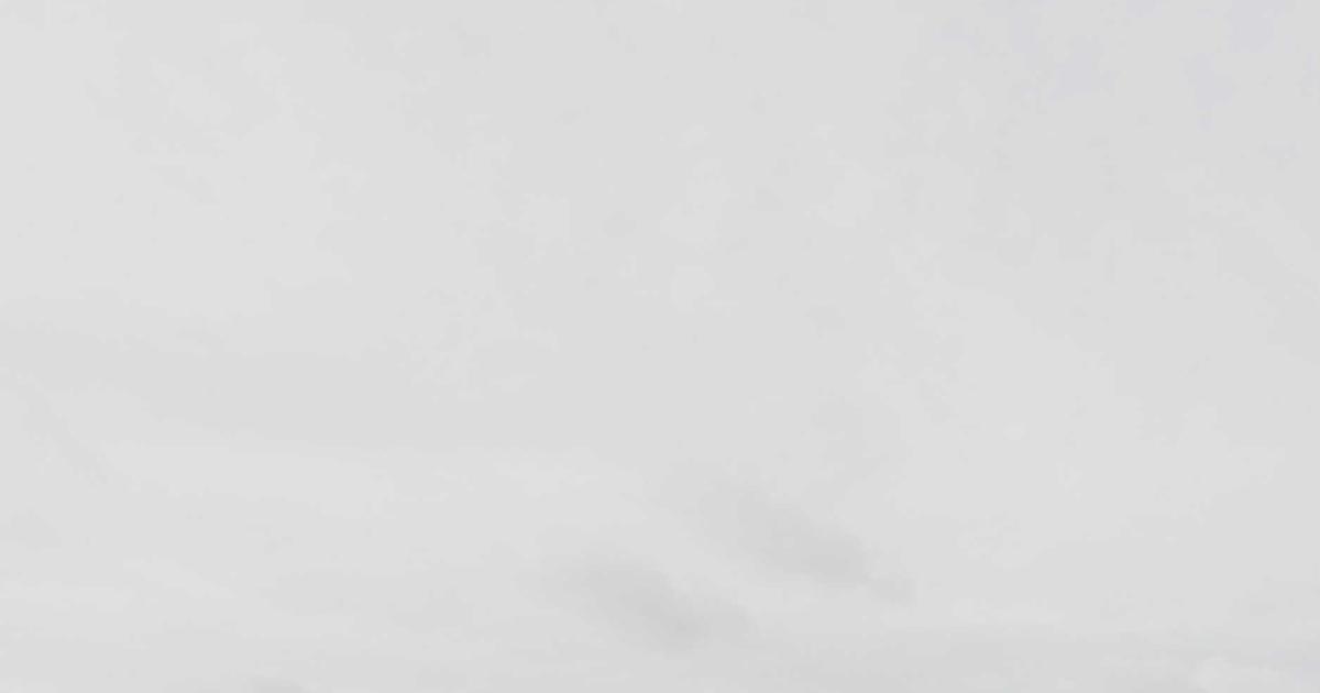 The Clever CSS Tree View Trick Web Developers Forgot