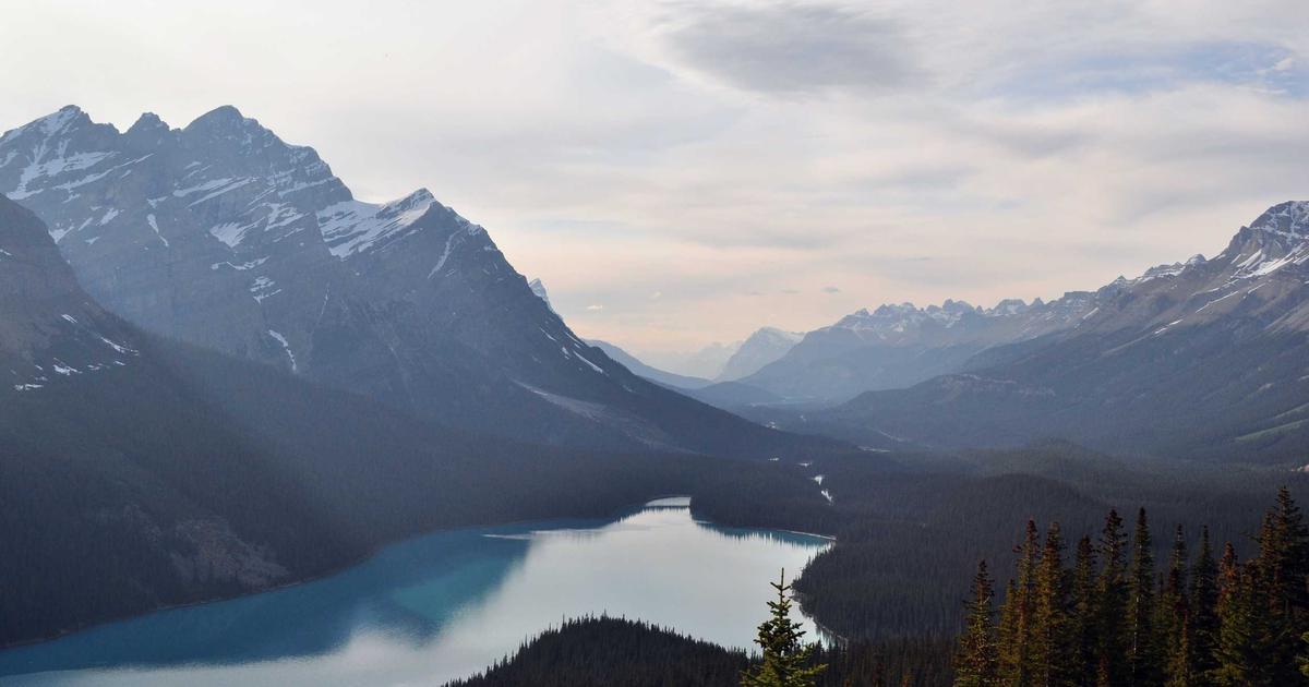 The Quiet Rise of W3.css: A Simple Bootstrap Alternative
