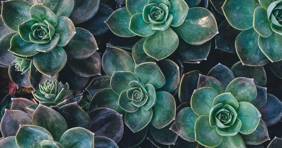 Why I'm still using Python